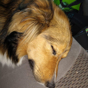 Meet your Posher, Jocelyn